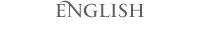 ENGLISH website